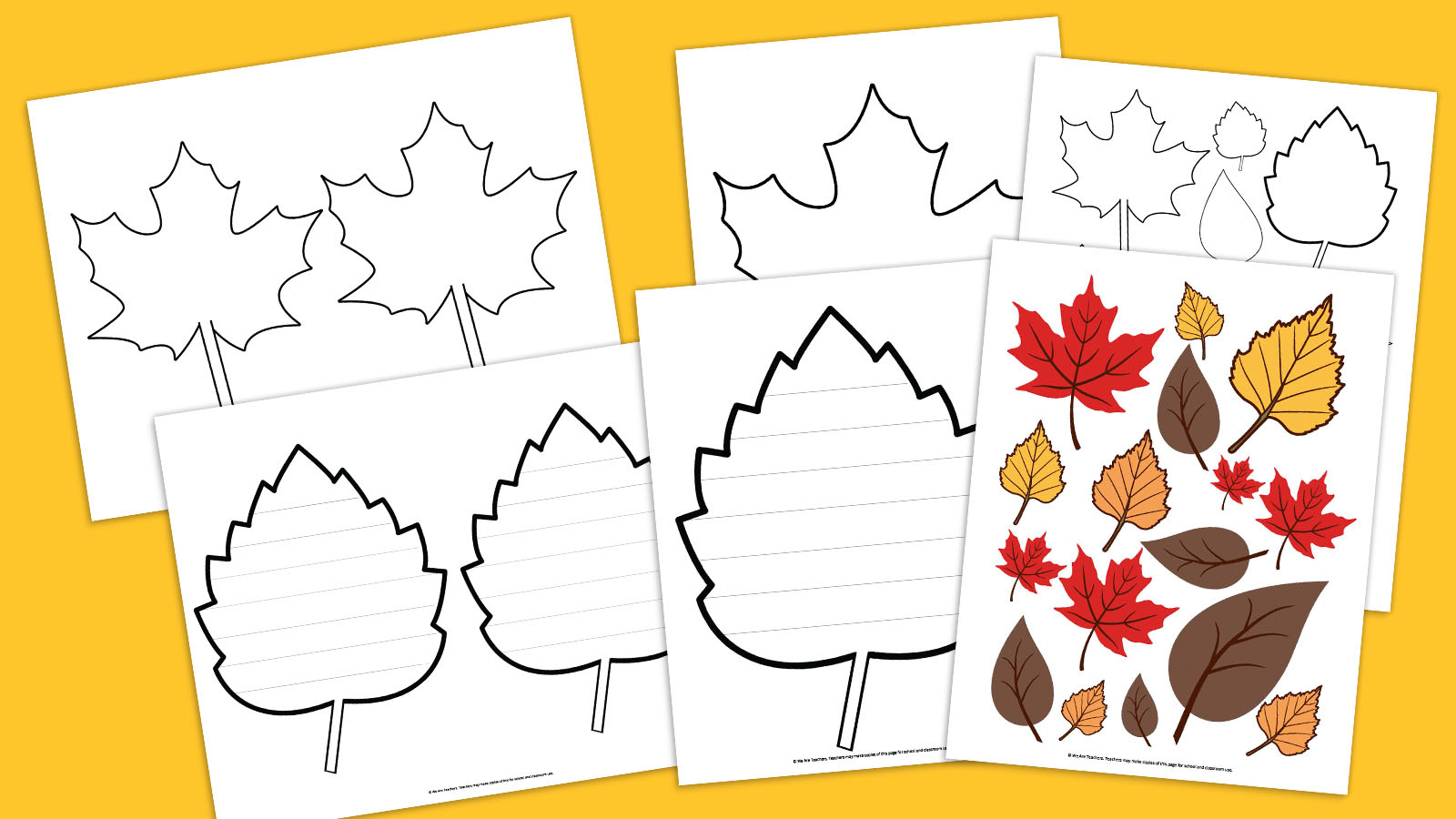 Free Printable Leaf Template Bundle For Fall in Free Printable Leaf Template