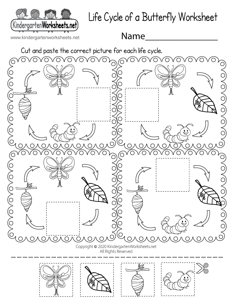 Free Printable Life Cycle Of A Butterfly Worksheet pertaining to Free Printable Butterfly Worksheets