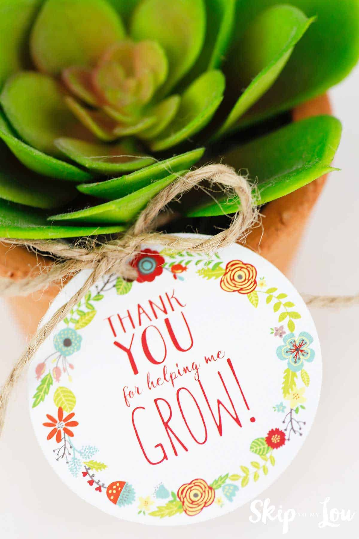 Free Printable Thank You For Helping Me Grow Gift Tags | Skip To in Thanks For Helping Me Grow Free Printable