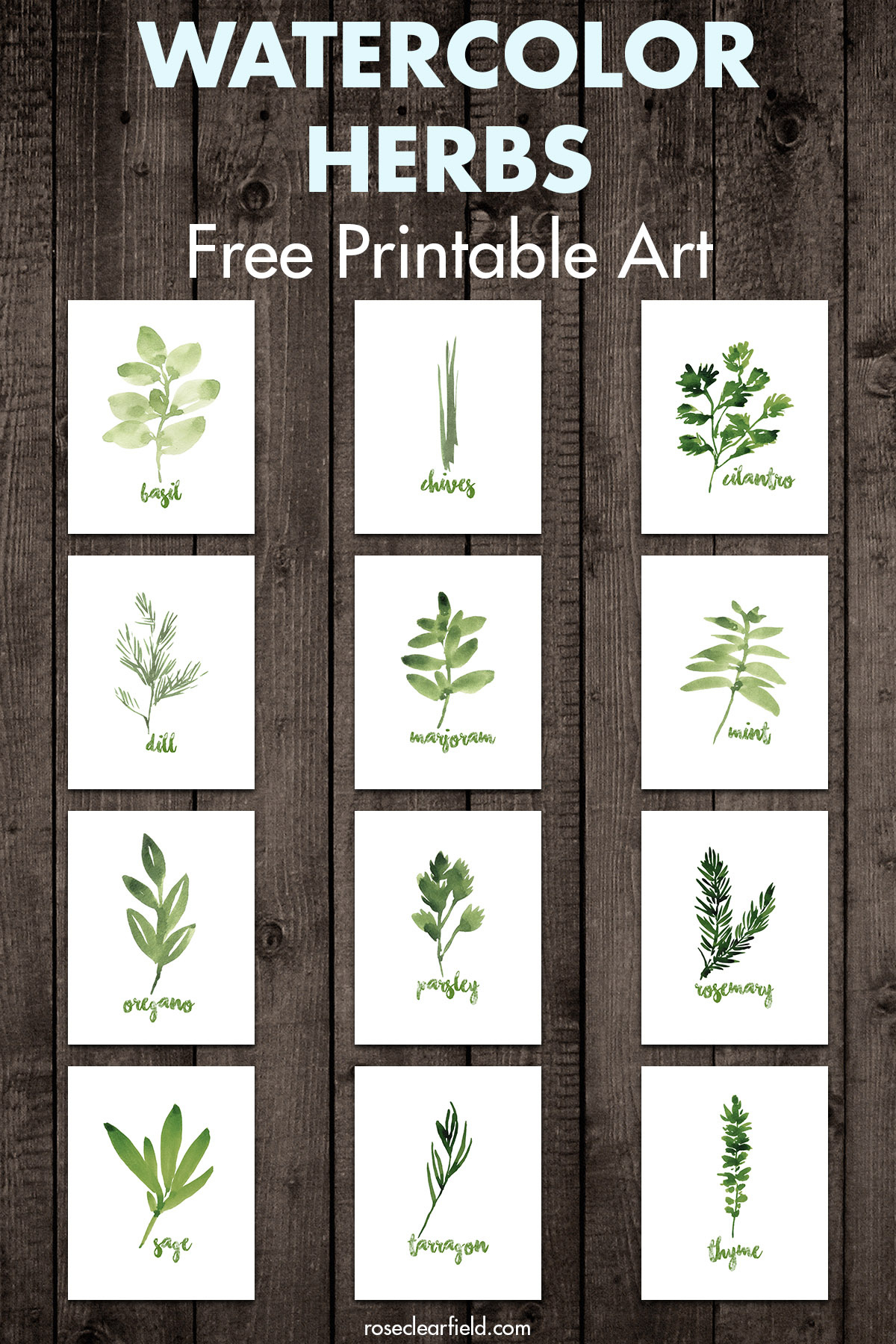 Free Printable Watercolor Herbs Art • Rose Clearfield for Free Printable Pictures Of Herbs