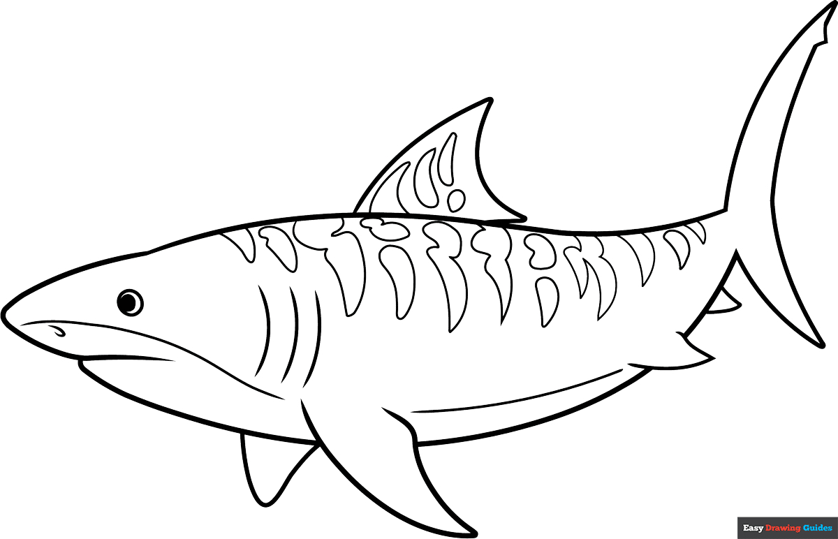 Free Sharks Coloring Pages For Kids - 14 Printable Sheets intended for Free Shark Printables