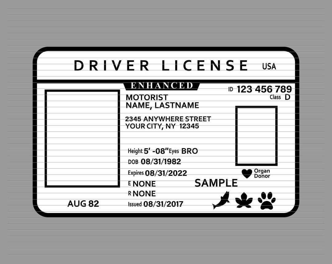 Führerschein Svg, Führerschein, Id Svg, Id Karte, Ausweis Svg for Free Printable Fake Drivers License