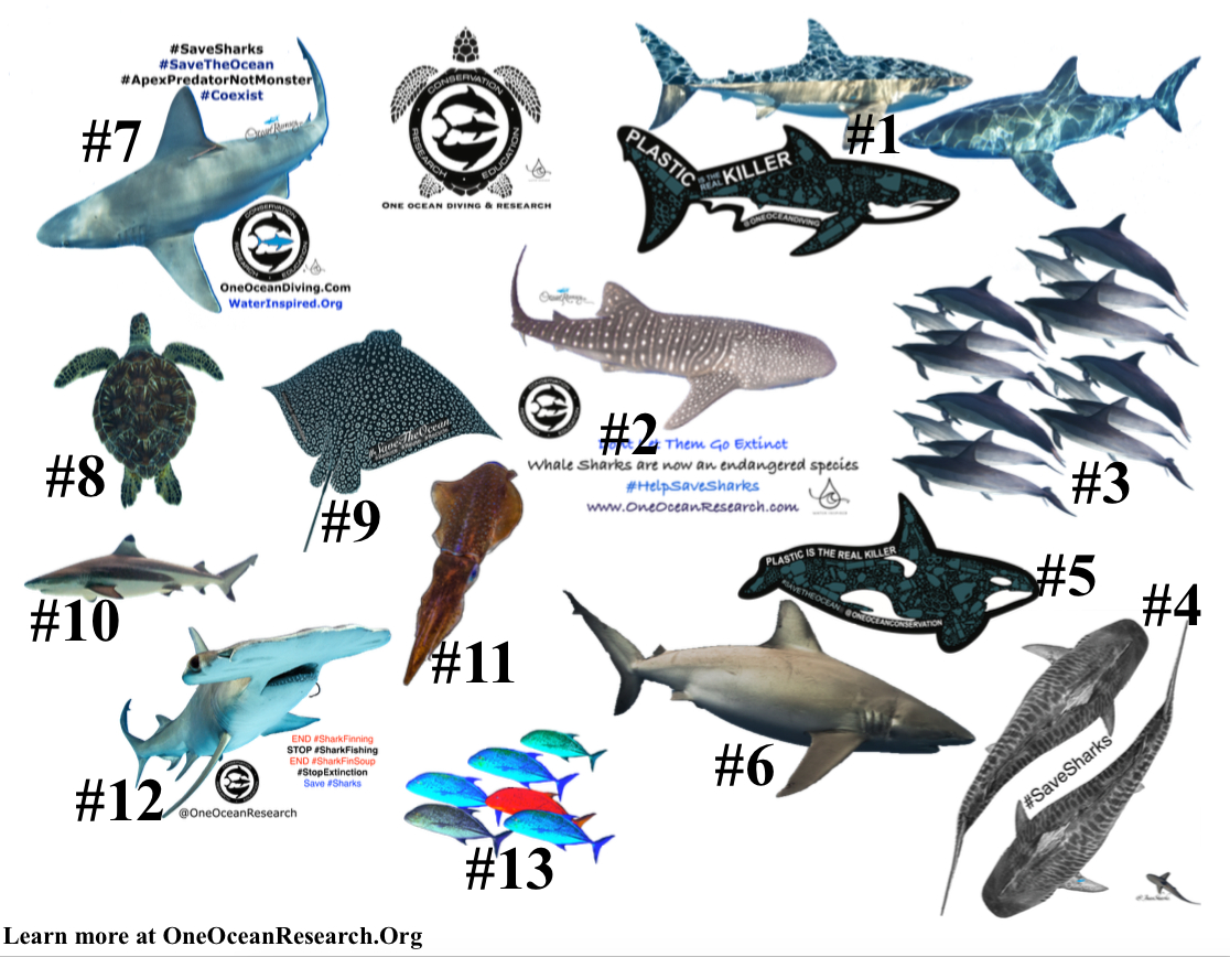 Fun Free Print Outs For Kids — One Ocean with Free Shark Printables