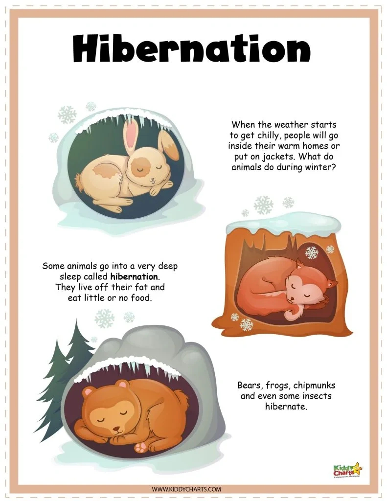 Hibernating Animals Activity Sheets - Kiddycharts intended for Free Printable Hibernation Worksheets