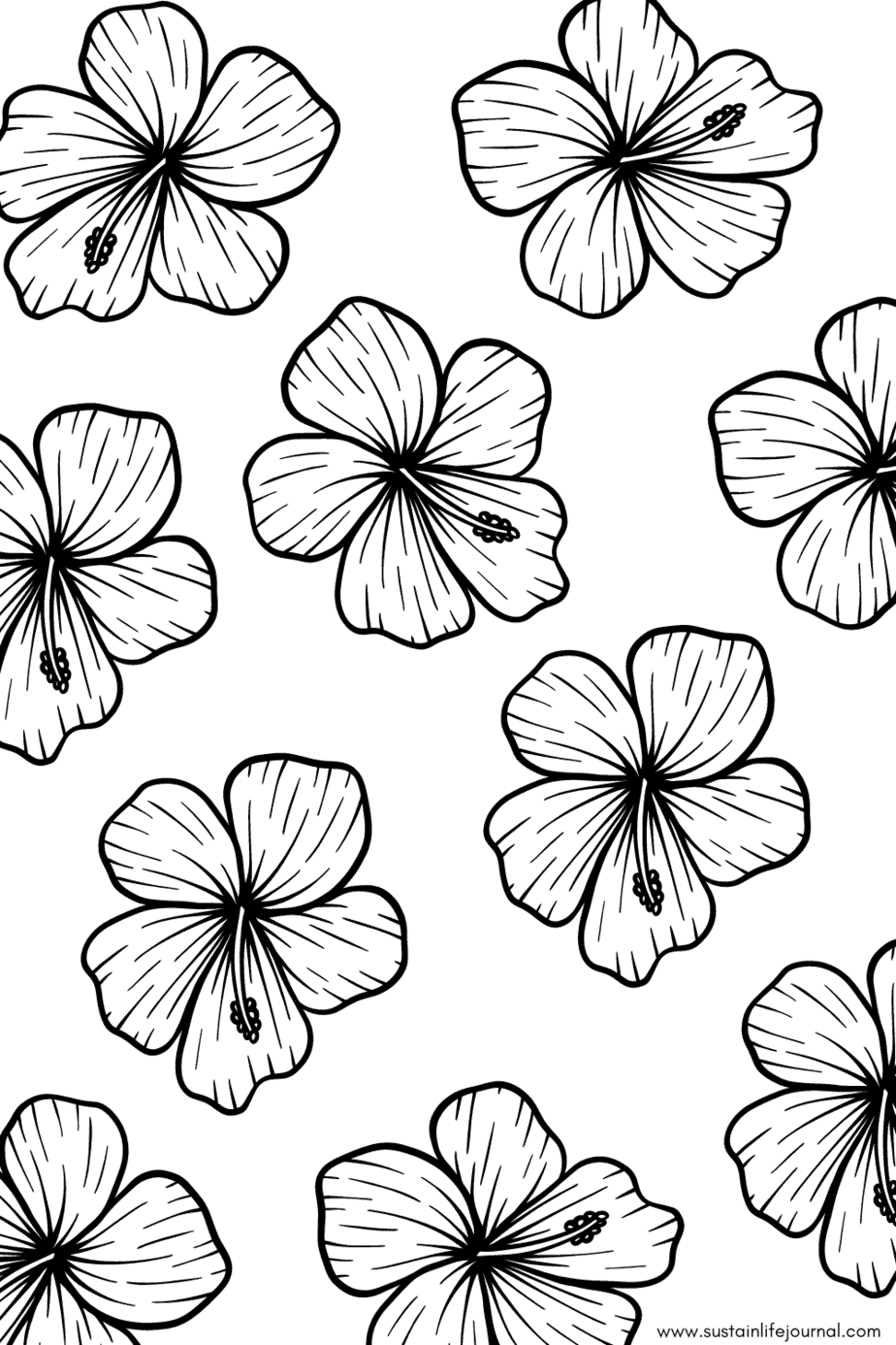 Hibiscus Pattern Coloring Page - Sustain Life Journal in Free Printable Hibiscus Coloring Pages
