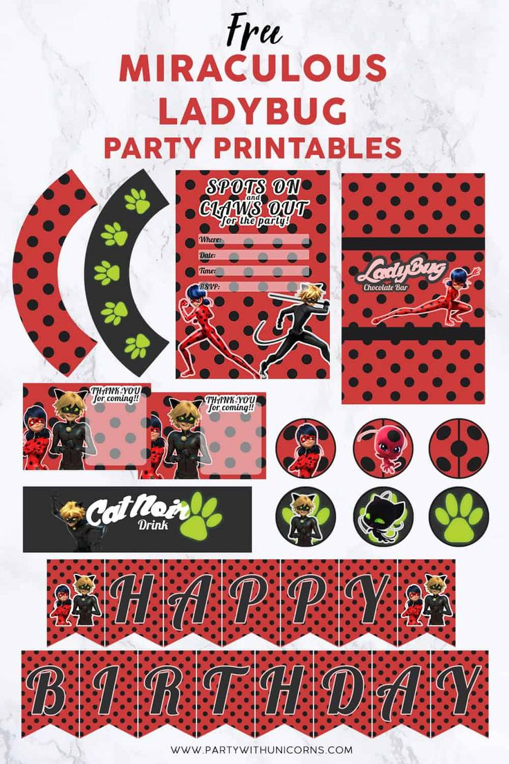 Miraculous Ladybug Party Favor Bags - With Free Printable Template with Ladybug Themed Birthday Party With Free Printables