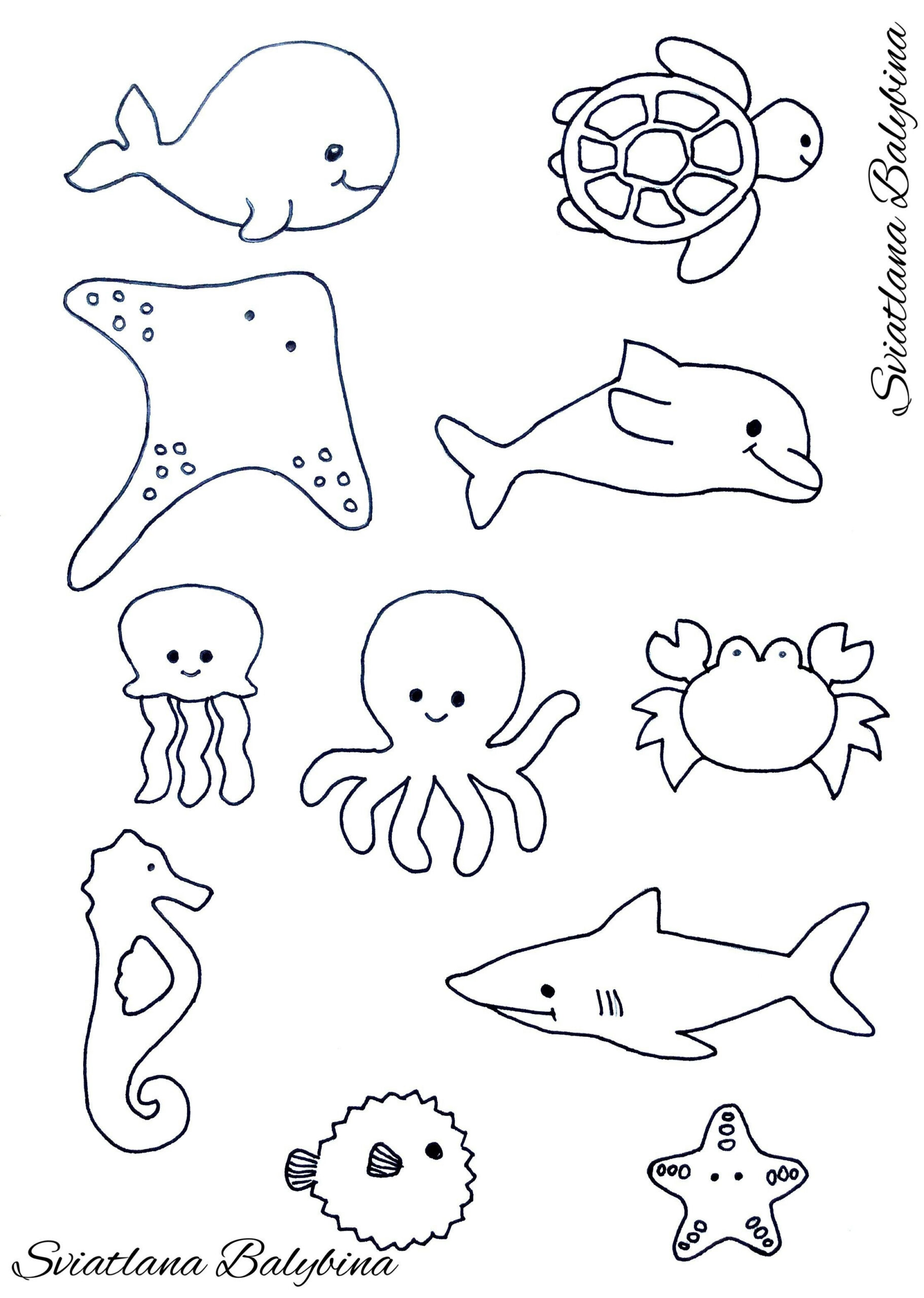 Ocean Animal Templates - Event Program Template regarding Free Printable Sea Creature Templates