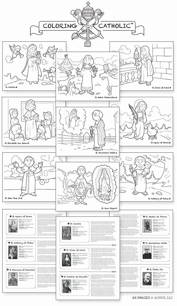 Order Of The Mass Worksheet Lovely Catholic Mass Parts In Order within Free Printable Catholic Mass Book
