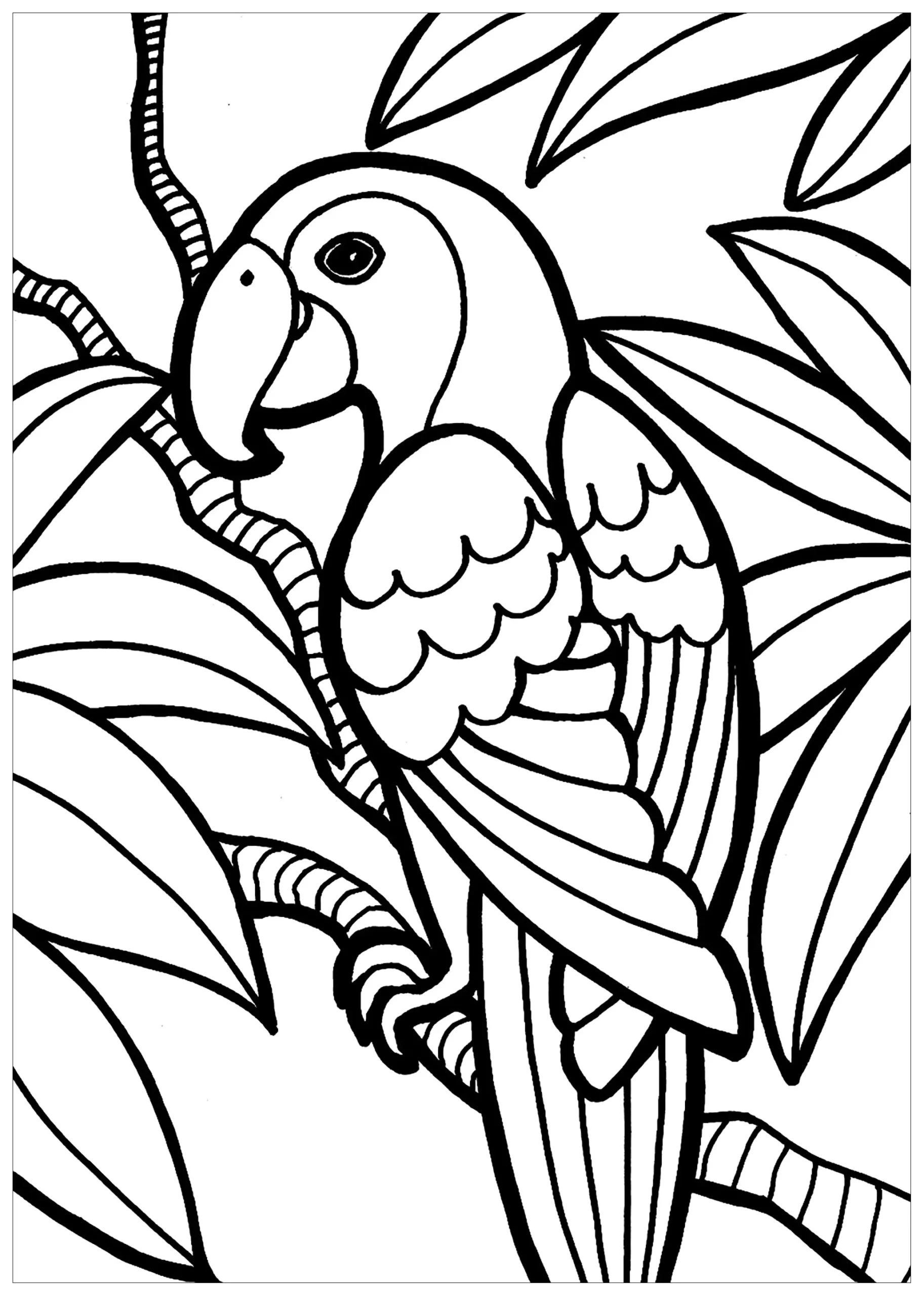 Parrot - Bird Coloring Pages in Free Printable Parrot Coloring Pages