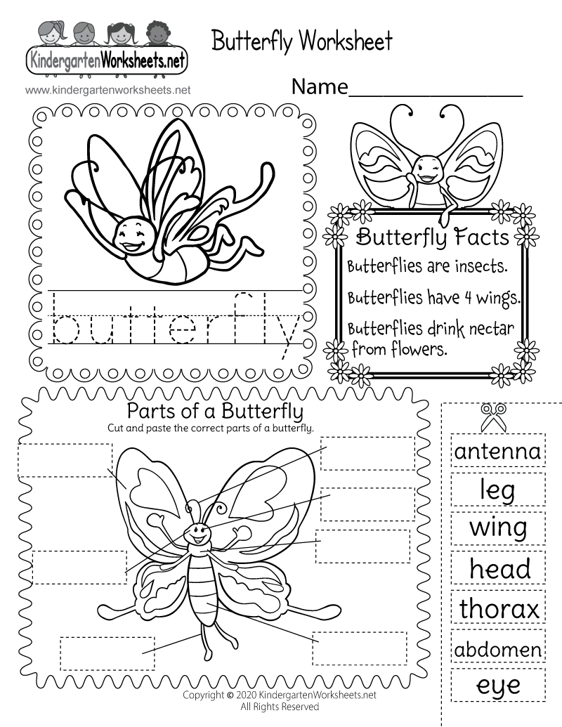 Parts Of A Butterfly Worksheet - Free Printable, Digital, &amp;amp; Pdf for Free Printable Butterfly Worksheets