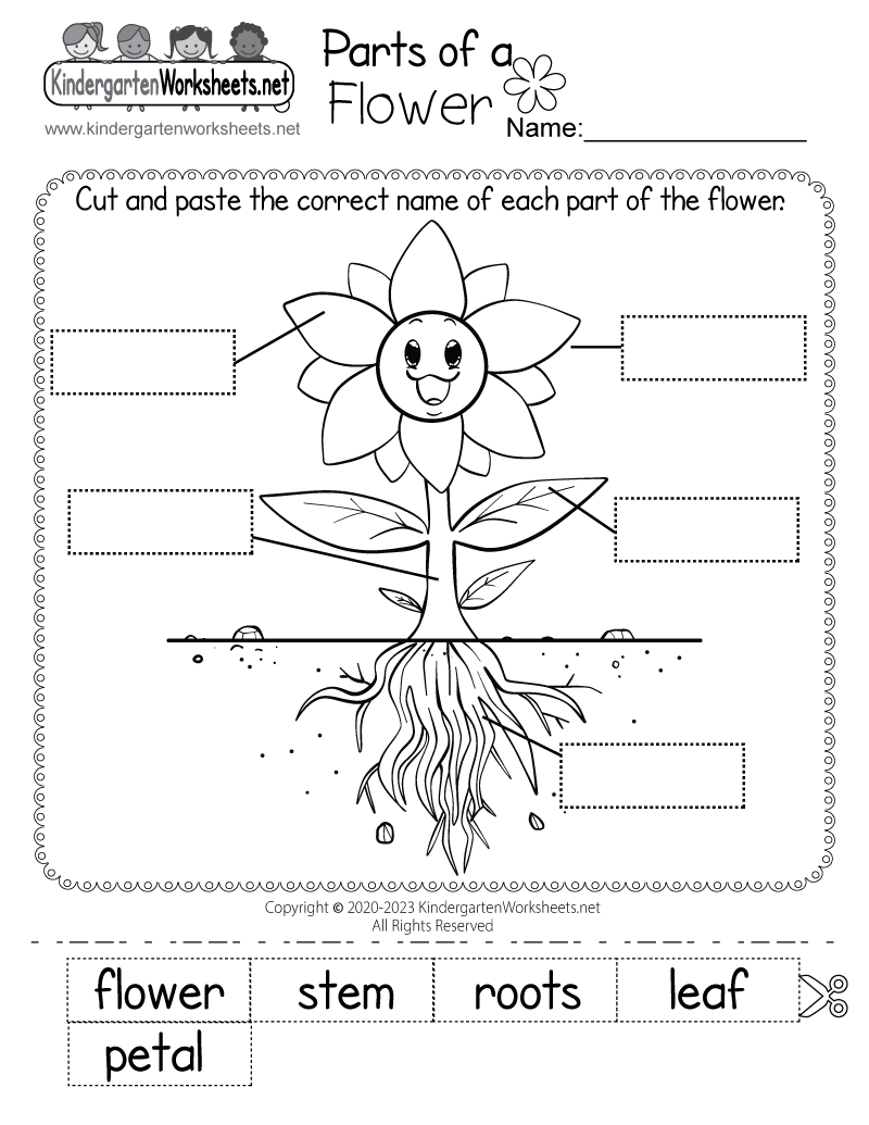 Parts Of A Flower Worksheet - Free Printable, Digital, &amp;amp; Pdf with Free Printable Worksheets For Kids Science