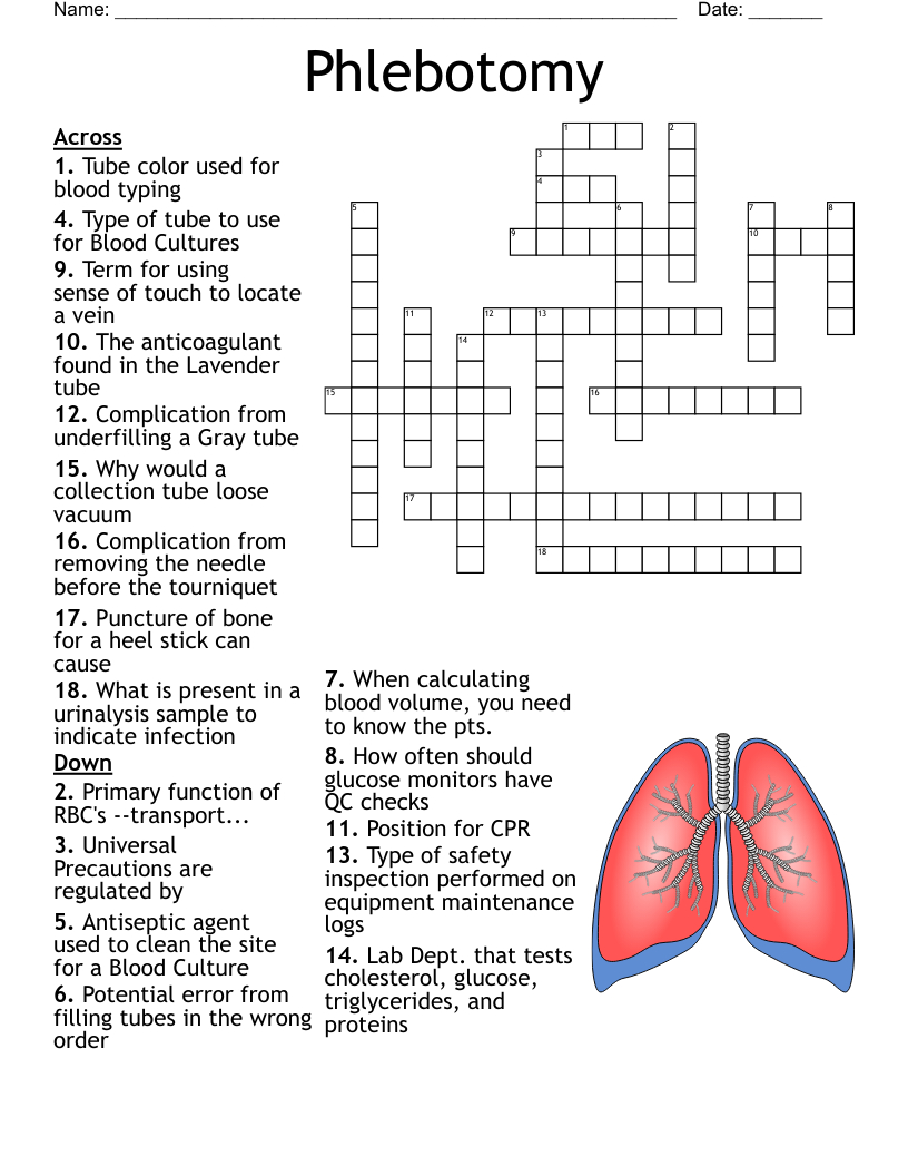 Phlebotomy Worksheet - Wordmint for Free Printable Phlebotomy Practice Test