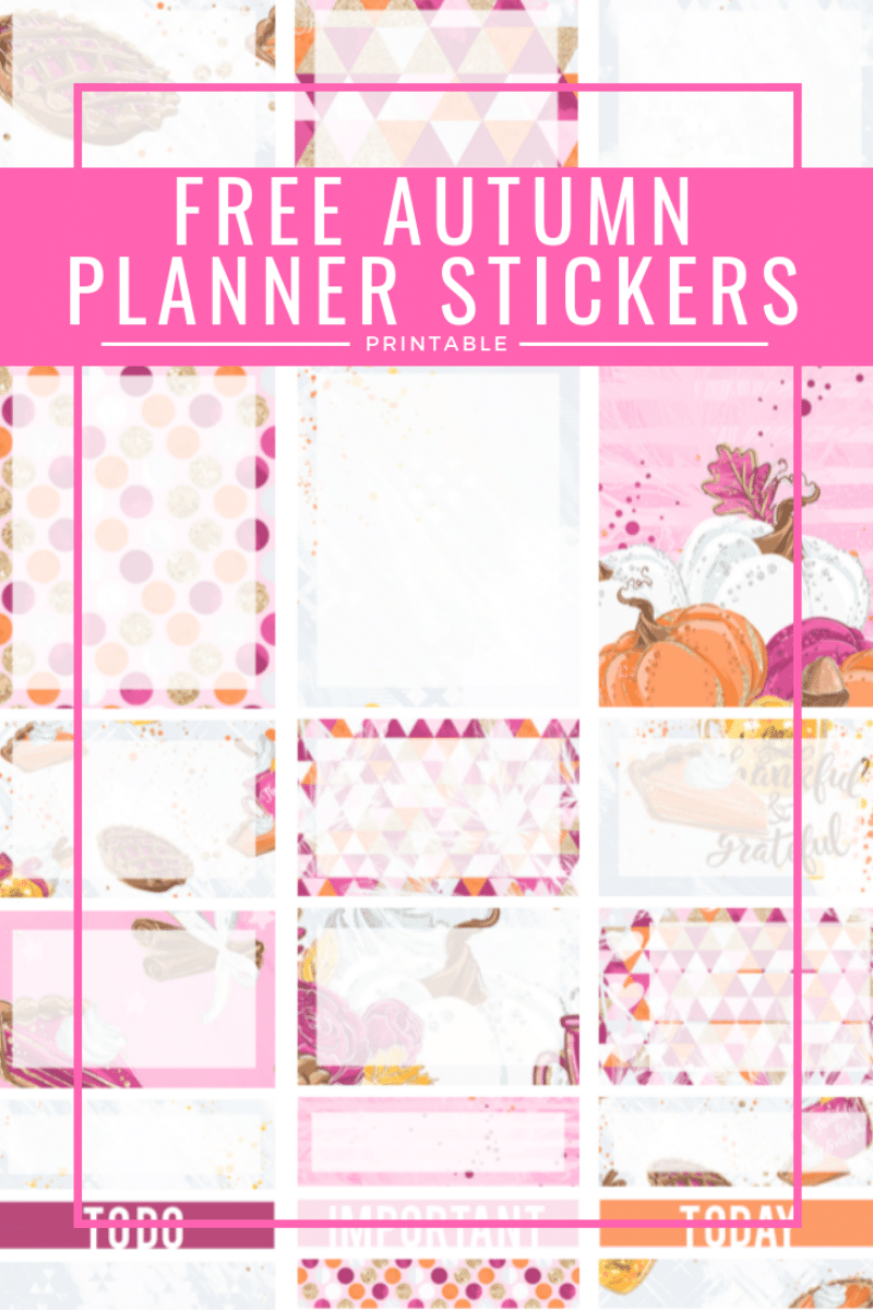 Pink-Autumn-Erin-Condren-Life-Planner-Free-Printable-Stickers in Printable Erin Condren Stickers Free