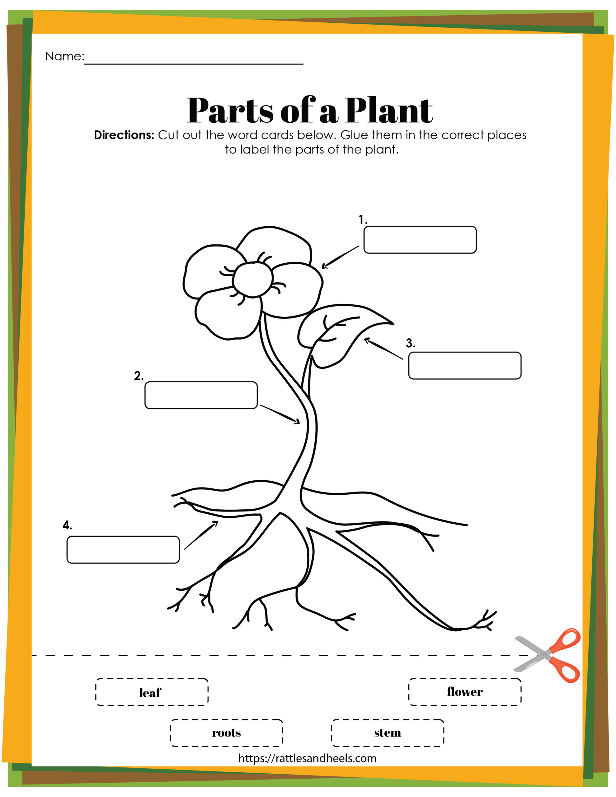 Plant Life Cycle Worksheets Free Printables For Kids - inside Free Plant Life Cycle Worksheet Printables