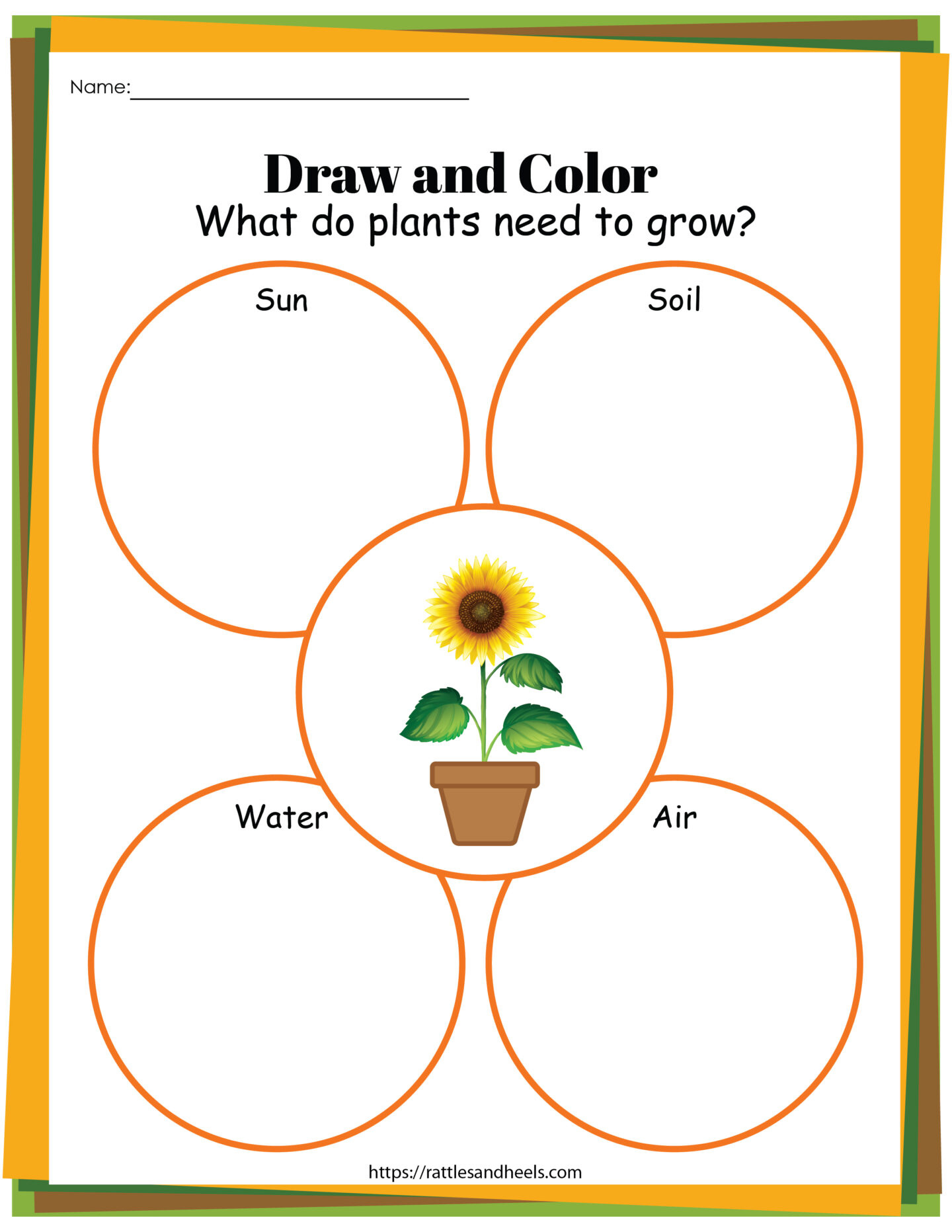 Plant Life Cycle Worksheets Free Printables For Kids - regarding Free Plant Life Cycle Worksheet Printables