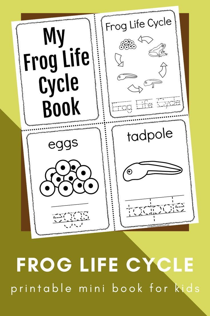 Printable Frog Life Cycle Book pertaining to Life Cycle Of A Frog Free Printable Book