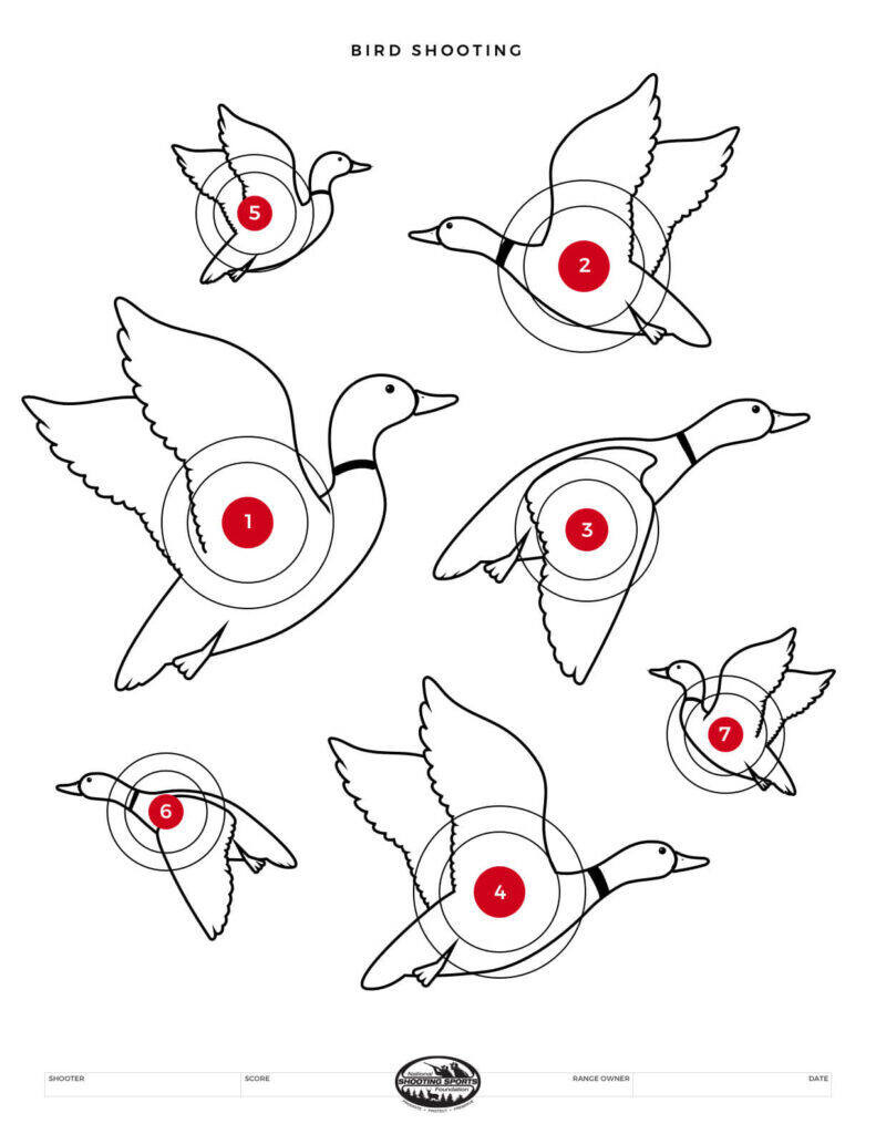 Printable Shooting Targets And Gun Targets • Nssf inside Free Printable Targets