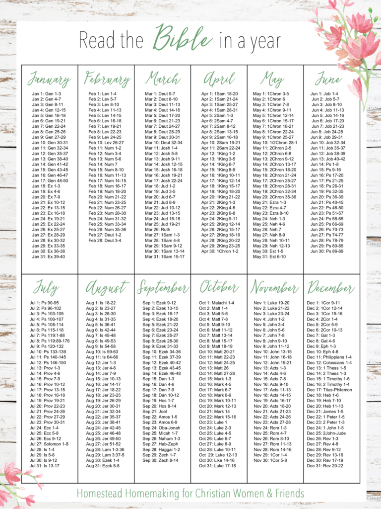 Read The Bible In A Year | Homestead Homemaking - Amy K Fewell with Read The Bible In A Year Plan Printable Free