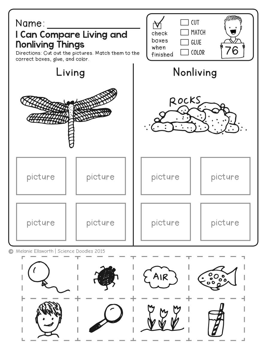 Science Worksheets For Kindergarten (Free Printables) - Worksheets inside Free Printable Worksheets For Kids Science