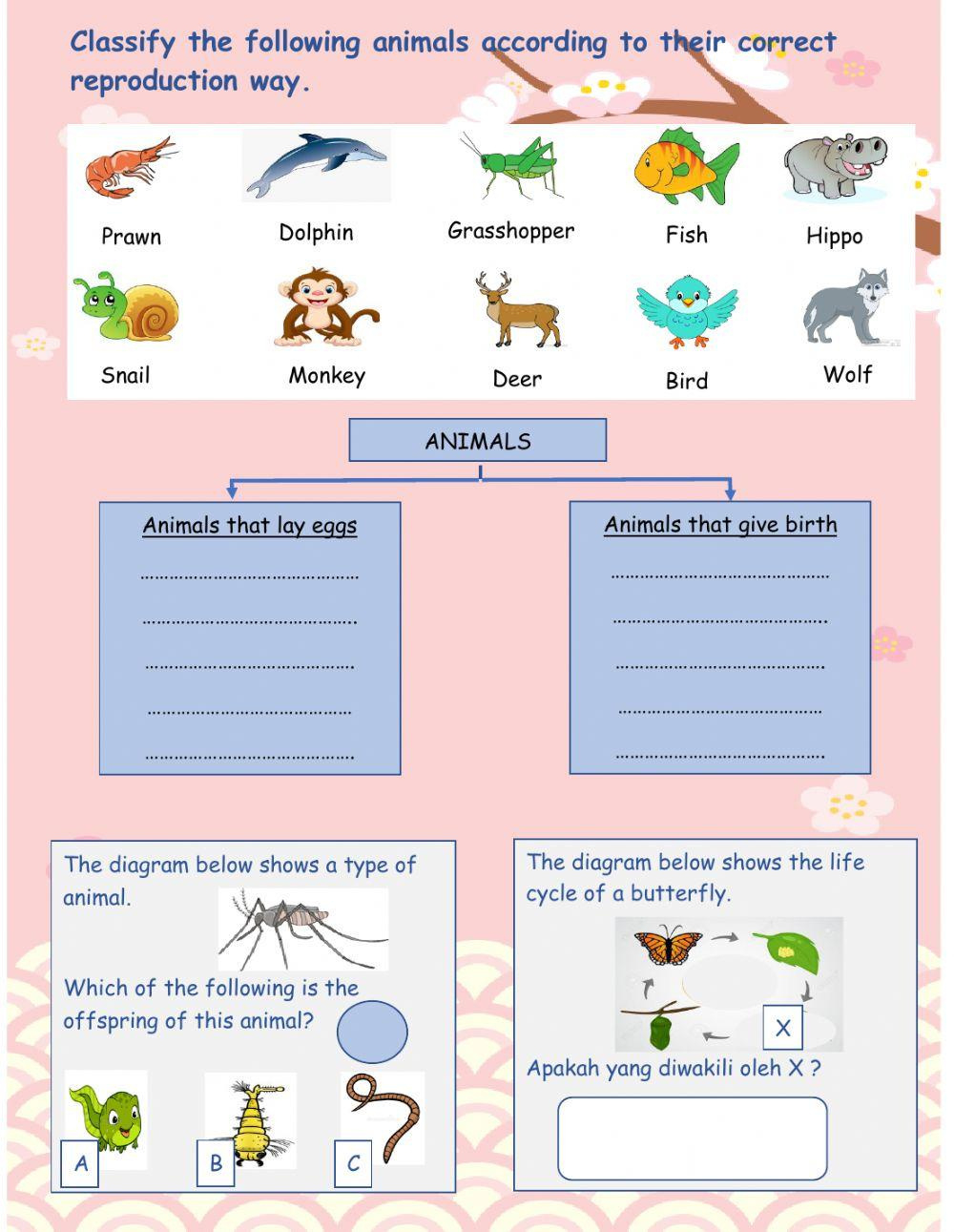 Science Year 2 Interactive Worksheet | Live Worksheets in Free Printable Science Worksheets For 2Nd Grade