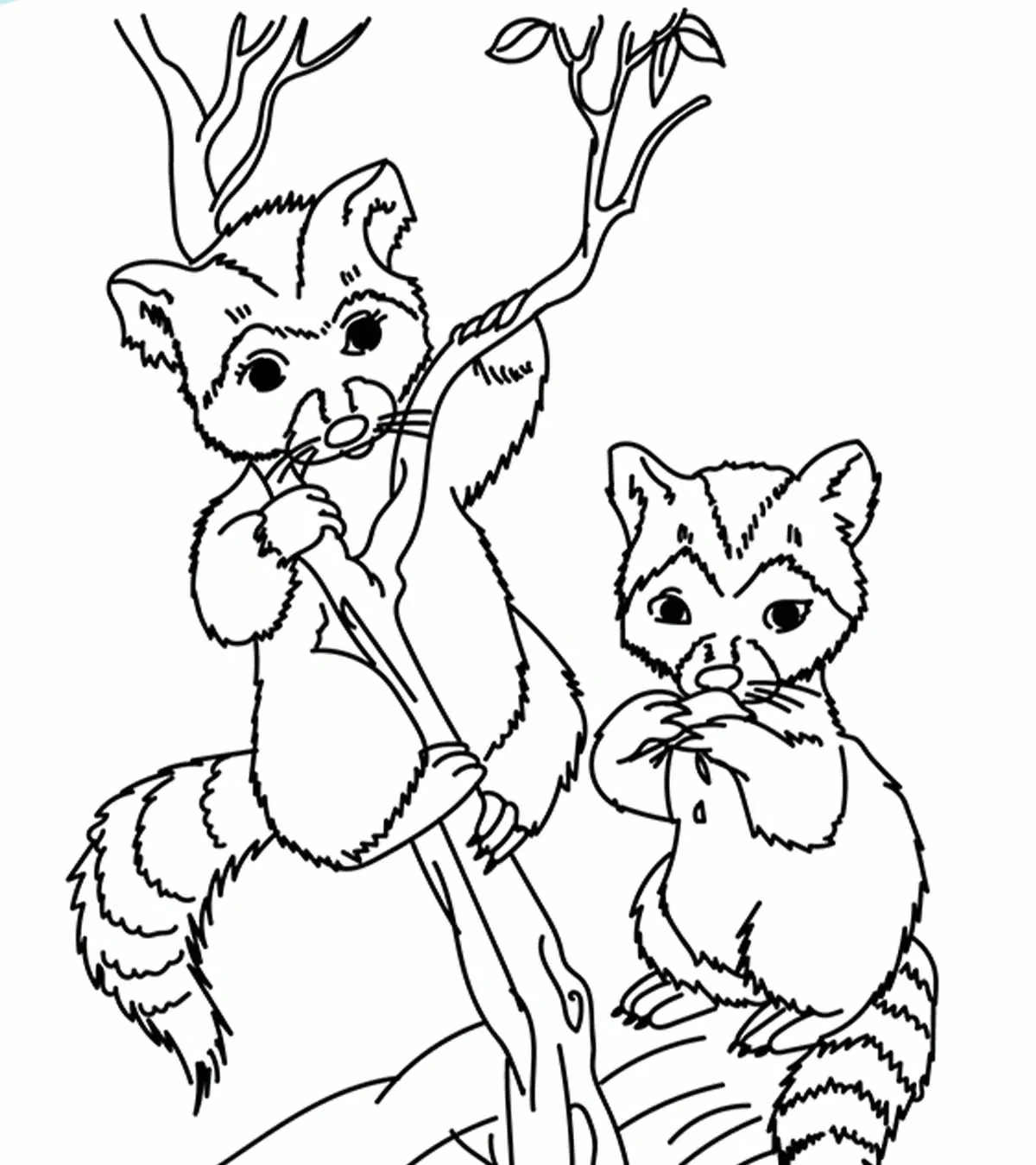 Top 25 Wild Animals Coloring Pages For Little Kids in Free Printable Wild Animal Coloring Pages