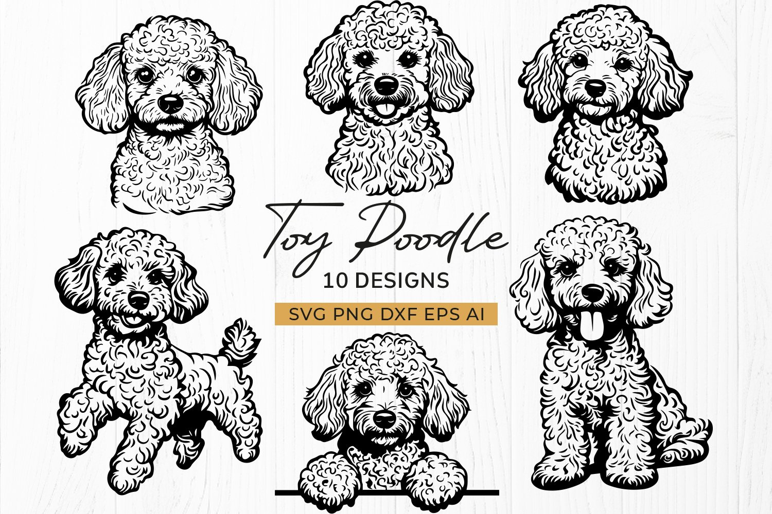 Toy Poodle Dog Svg Bundle | 10 Adorable Toy Poodle Designs in Free Printable Poodle Template