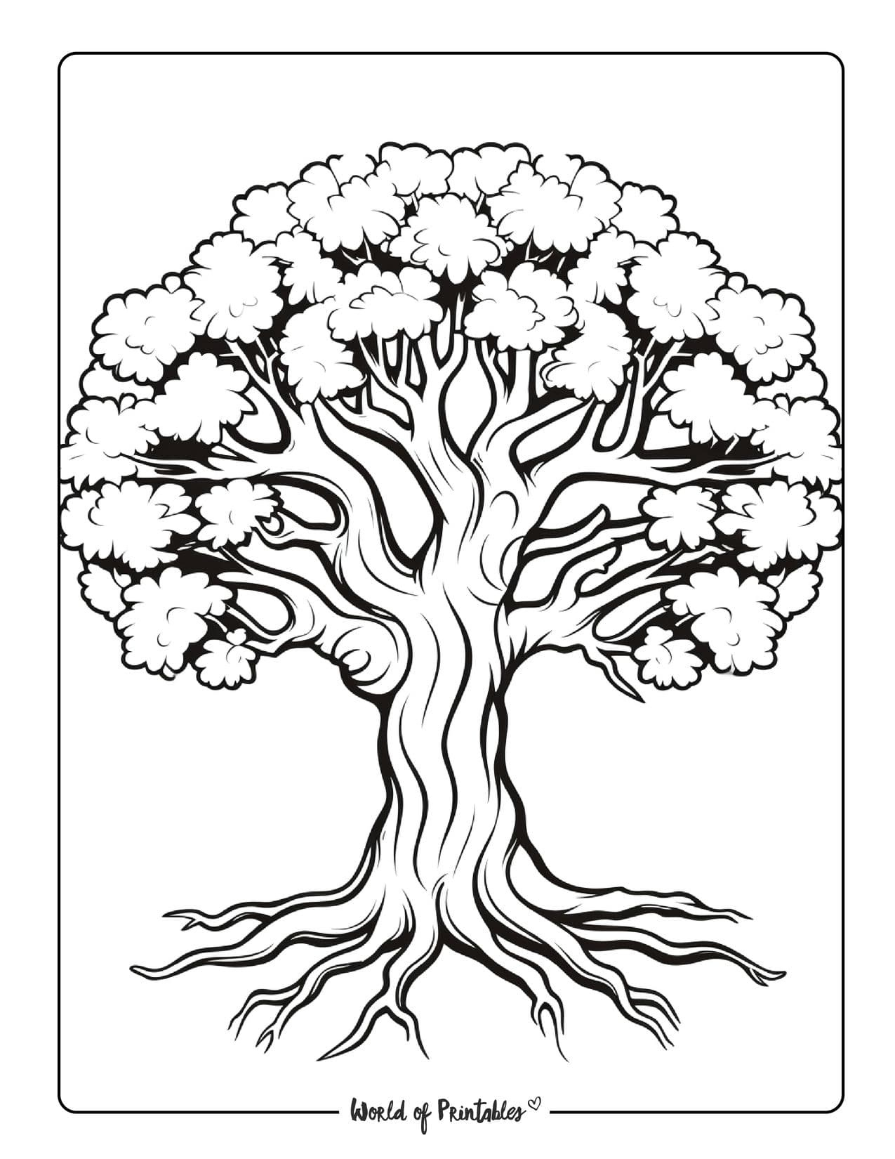 Tree Coloring Pages - World Of Printables within Tree Coloring Pages Free Printable