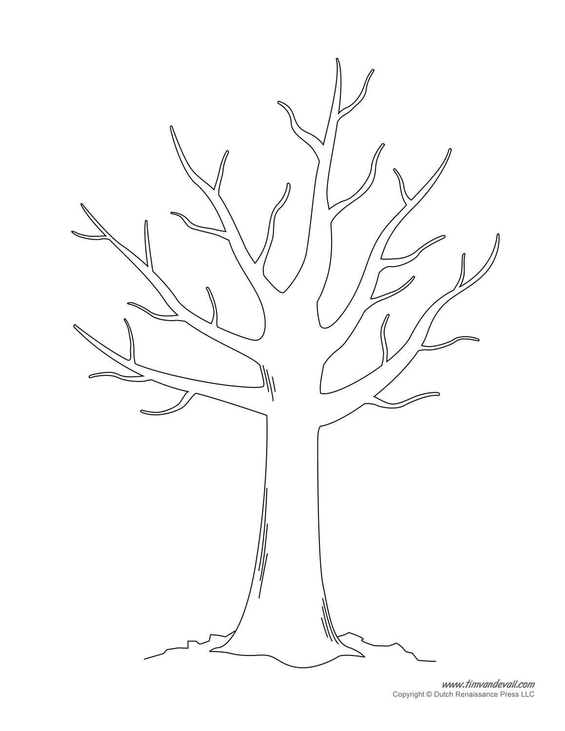 Tree Templates | Tree Printables - Worksheets Library with regard to Free Printable Tree Template