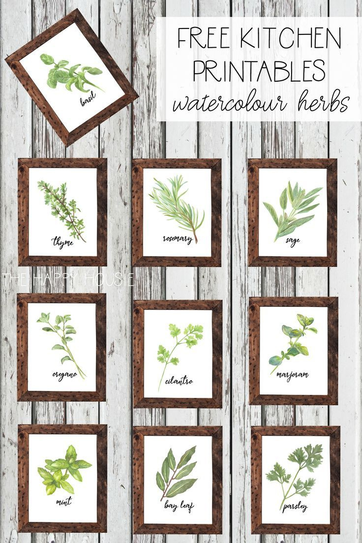 Watercolour Herb Free Kitchen Printables {In 10 Designs!} for Free Printable Pictures Of Herbs