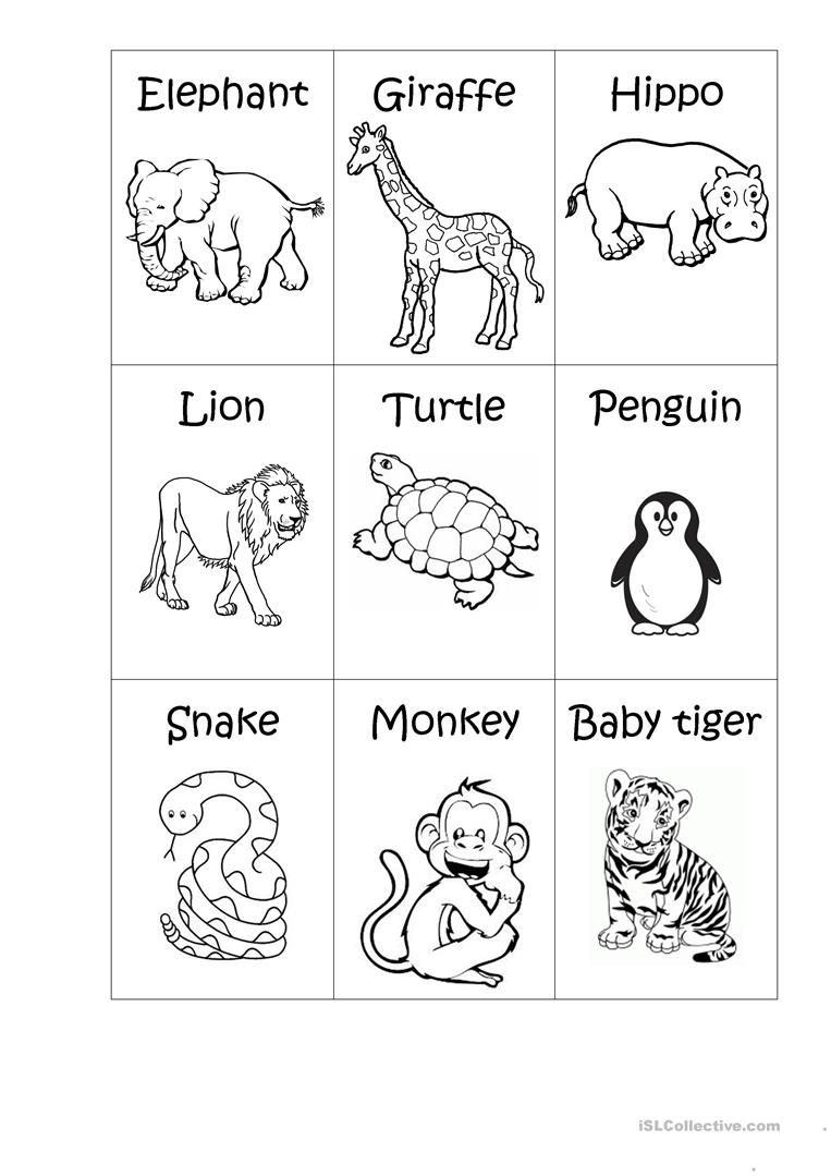 Zoo Animals - Big Or Small? - Worksheets Library within Free Printable Pictures Of Zoo Animals